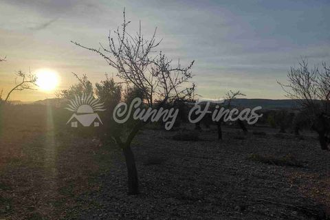 Grond in Biar, Alicante, Biar - € 65.000 | Ref: SF0442 - foto 5
